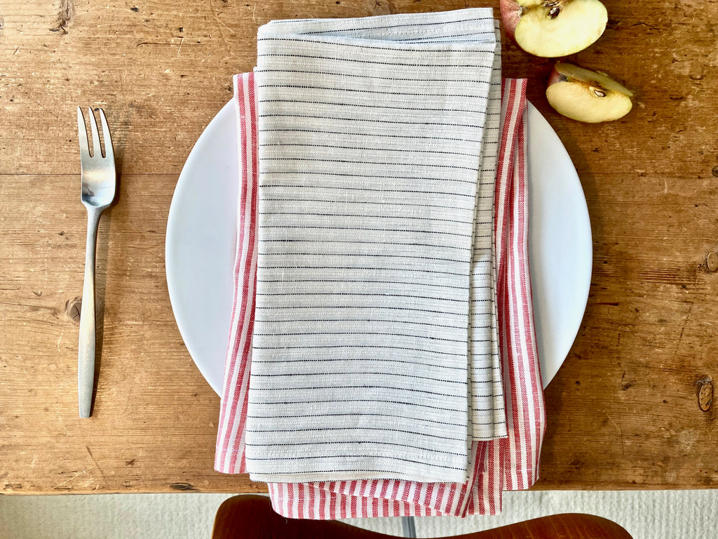 Notebook Stripe Napkin - Set of 2 - Modernplum